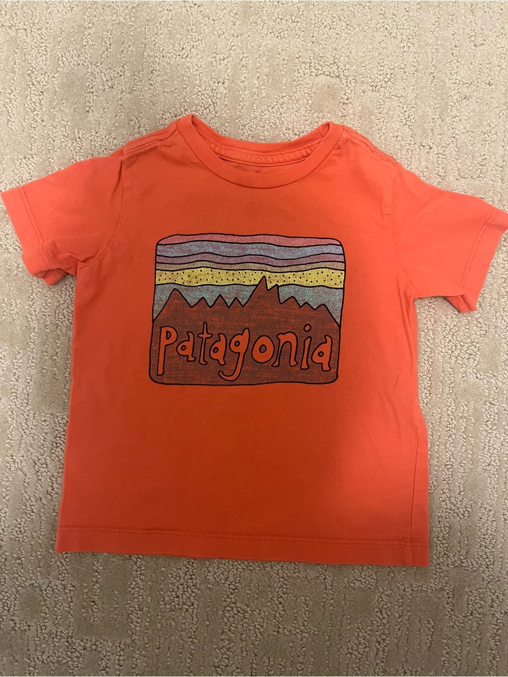 Patagonia Fitz Roy Skies Kids Graphic Logo Tee